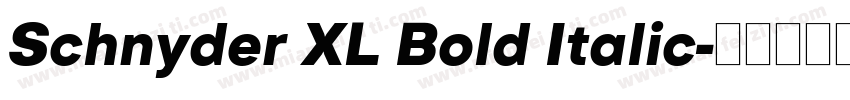 Schnyder XL Bold Italic字体转换